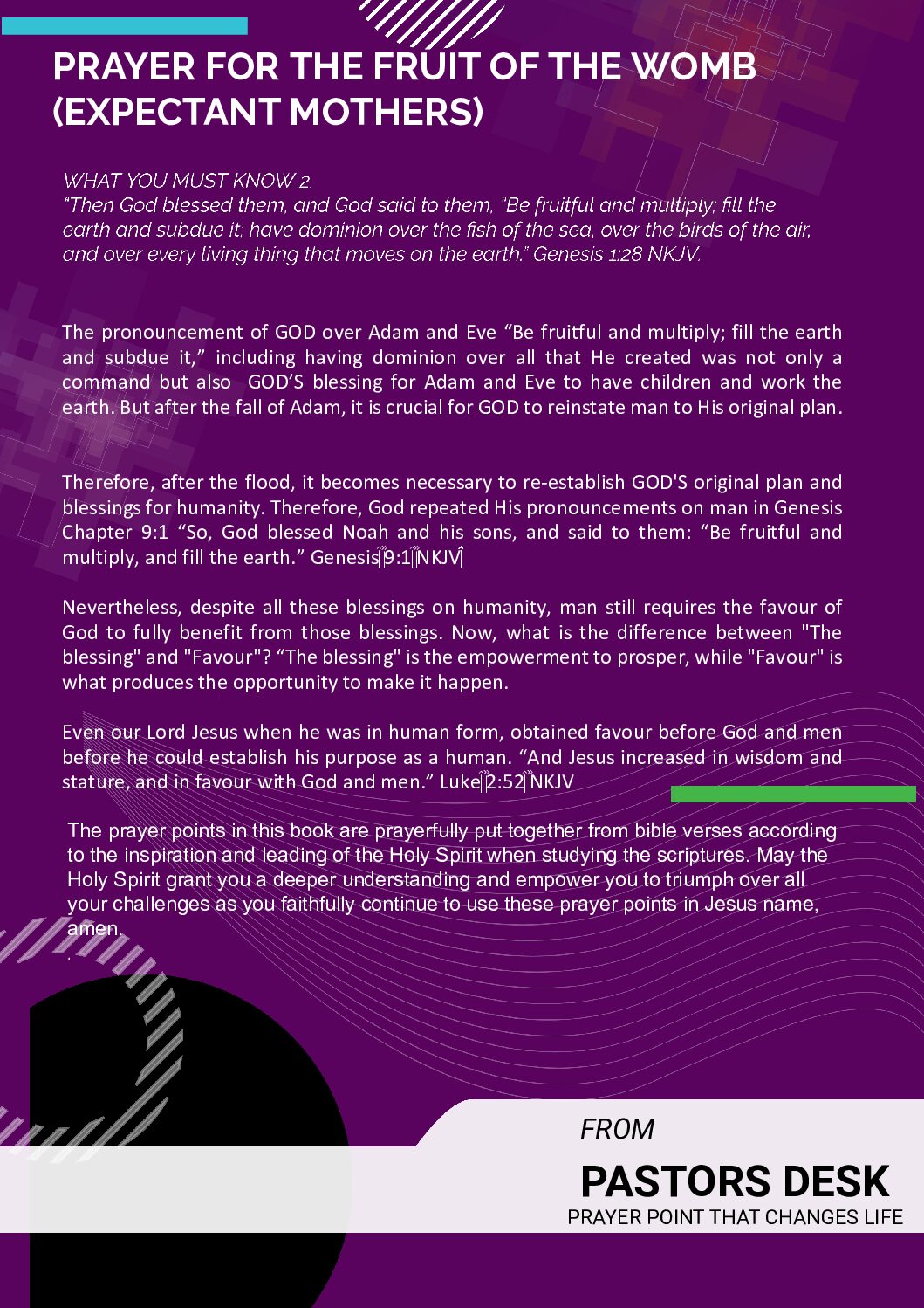 PRAYER FOR THE FRUIT OF THE WOMB (EXPECTANT MOTHERS) - Image 2